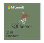 Microsoft SQL Server 2019 Standard Edition