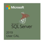Microsoft SQL Server 2019 CAL - SQL Server 2019 - 1 User CAL