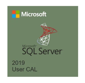 Microsoft SQL Server 2019 CAL - SQL Server 2019 - 1 User CAL