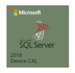 Microsoft SQL Server 2019 CAL - SQL Server 2019 - 1 Device CAL