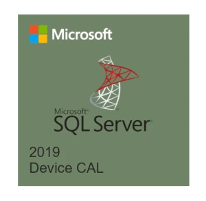 Microsoft SQL Server 2019 CAL - SQL Server 2019 - 1 Device CAL