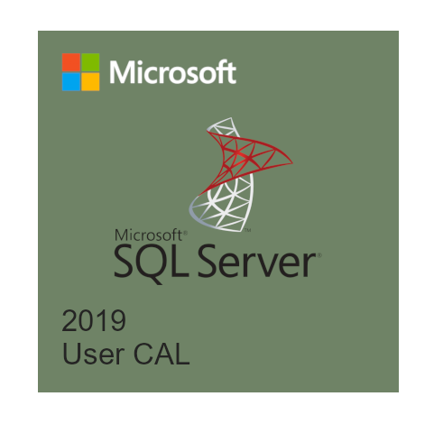 Microsoft SQL Server 2019 CAL - SQL Server 2019 - 1 User CAL Biznesowy ...